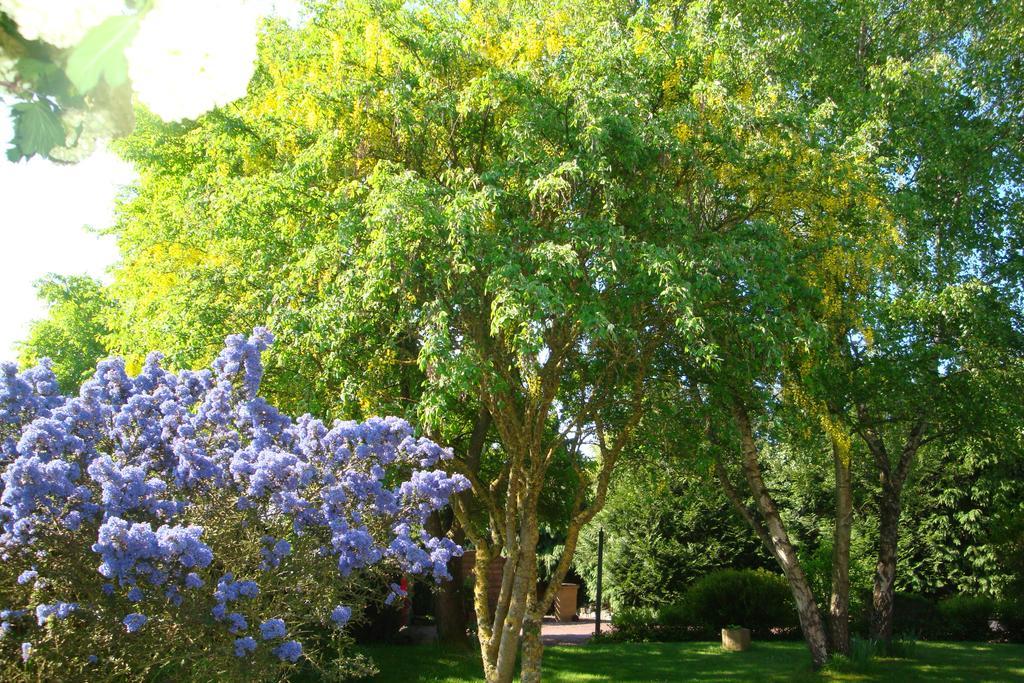 Au Jardin D'Eloise Bed & Breakfast Tremereuc Dış mekan fotoğraf